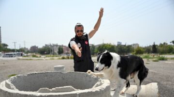 MERSİN İTFAİYESİ’NİN KAHRAMAN PATİLERİ ARES VE REX, ULUSLARARASI SINAVDA ZİRVEDE