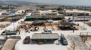 TOROSLAR, MERSİN’İN EN BÜYÜK KURBAN PAZARIYLA BAYRAMA HAZIR