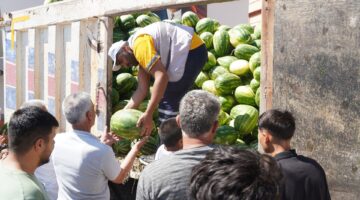 TARLADA ÇÜRÜYECEKTİ, SOFRALARA ULAŞTI, MEZİTLİ’DE 36 TON KARPUZ ÜCRETSİZ DAĞITILDI!