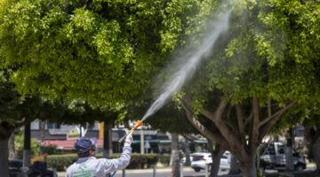 BÜYÜKŞEHİR İLAÇLAMA EKİPLERİ HAŞEREYE GEÇİT VERMİYOR