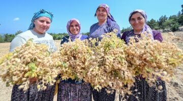 GÜLNAR’IN ATALIK NOHUTU BÜYÜKŞEHİR İLE CAN BULUYOR