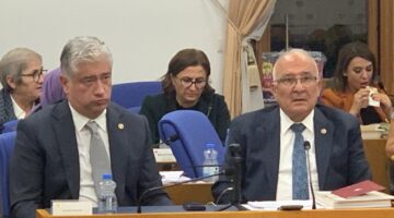 Teşekkürler Sayın Başkan.